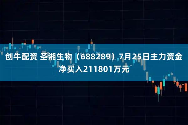 创牛配资 圣湘生物（688289）7月25日主力资金净买入211801万元
