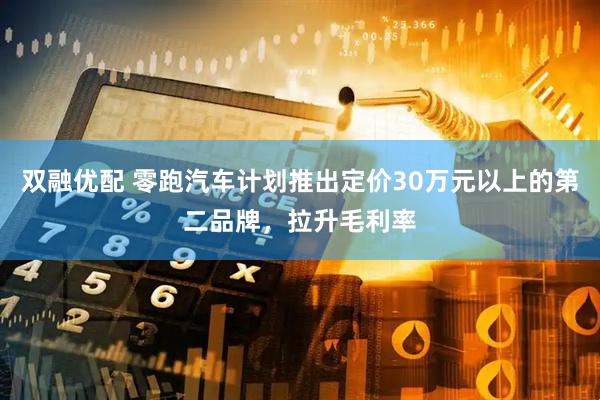双融优配 零跑汽车计划推出定价30万元以上的第二品牌，拉升毛利率