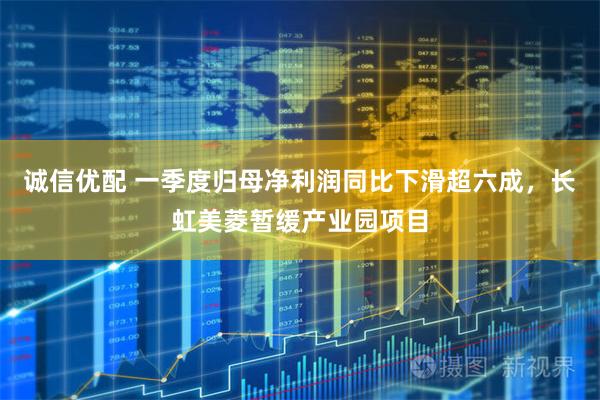 诚信优配 一季度归母净利润同比下滑超六成，长虹美菱暂缓产业园项目