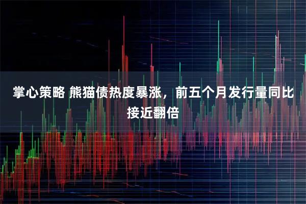 掌心策略 熊猫债热度暴涨，前五个月发行量同比接近翻倍